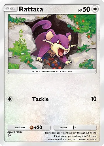 Rattata card