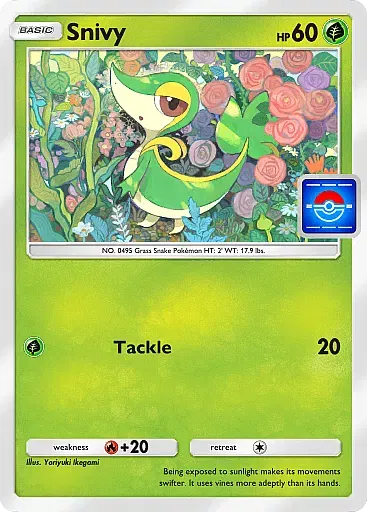 Snivy card